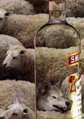 Quand les alcooliers préviennent leurs consommateurs Quand les alcooliers préviennent leurs consommateurs